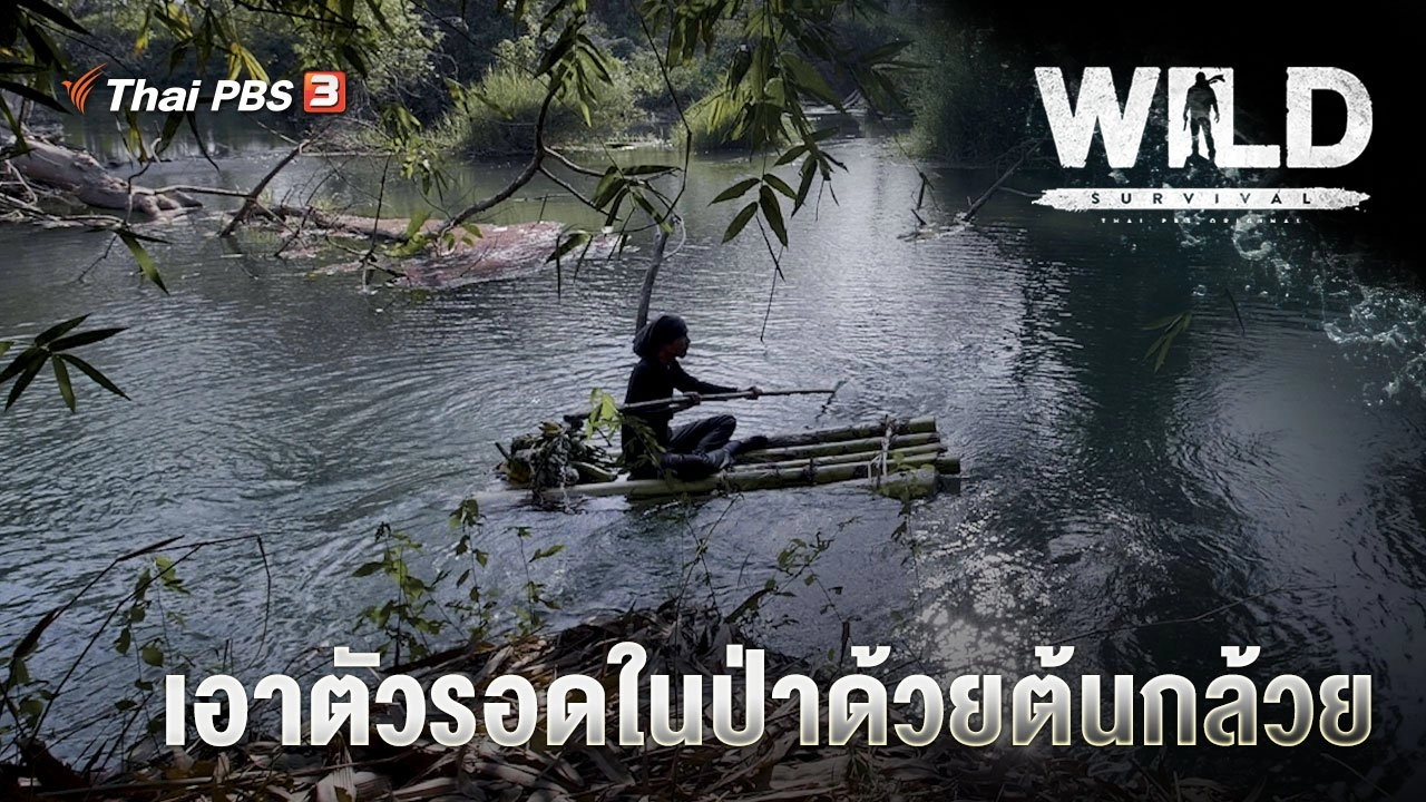 เอาตัวรอดในป่าด้วยต้นกล้วย