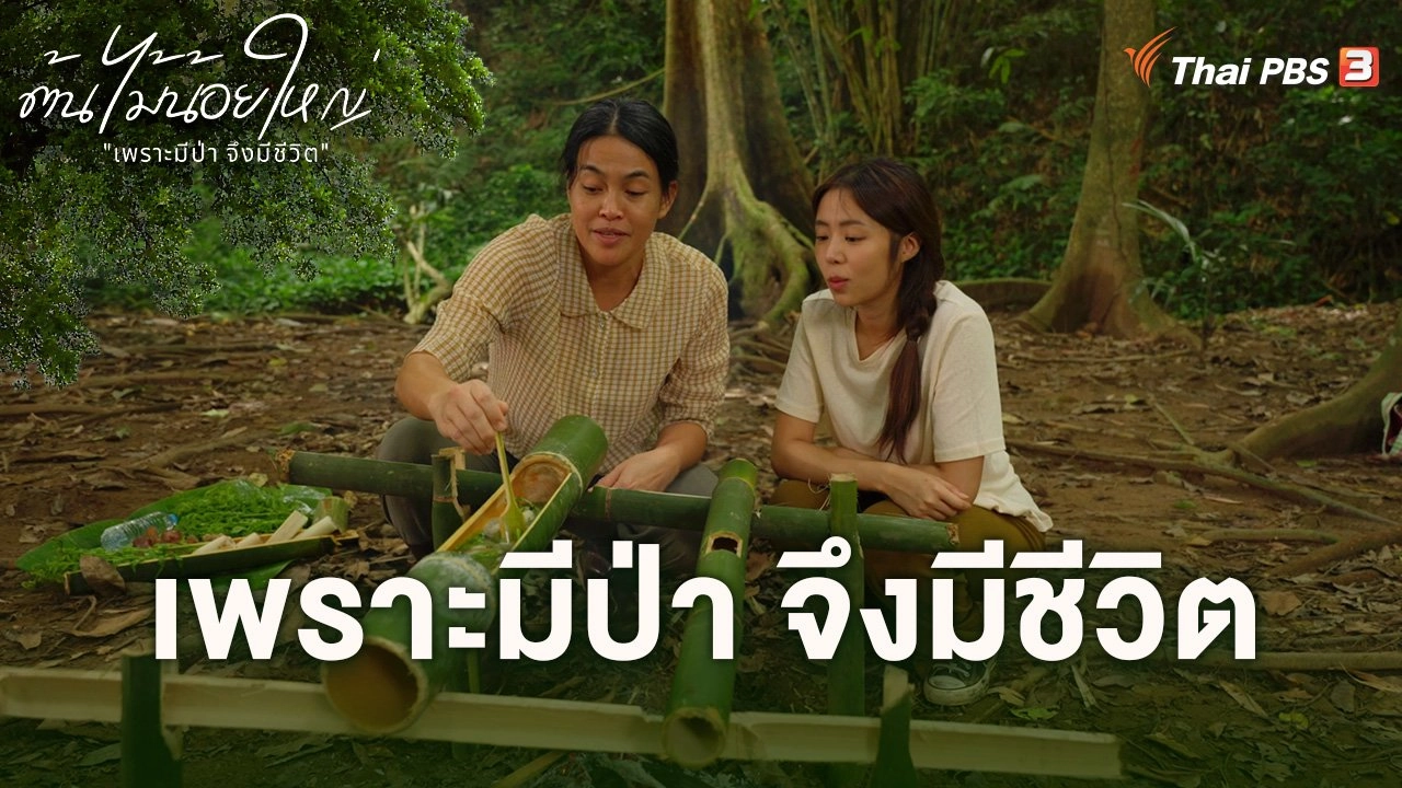 เพราะมีป่า จึงมีชีวิต