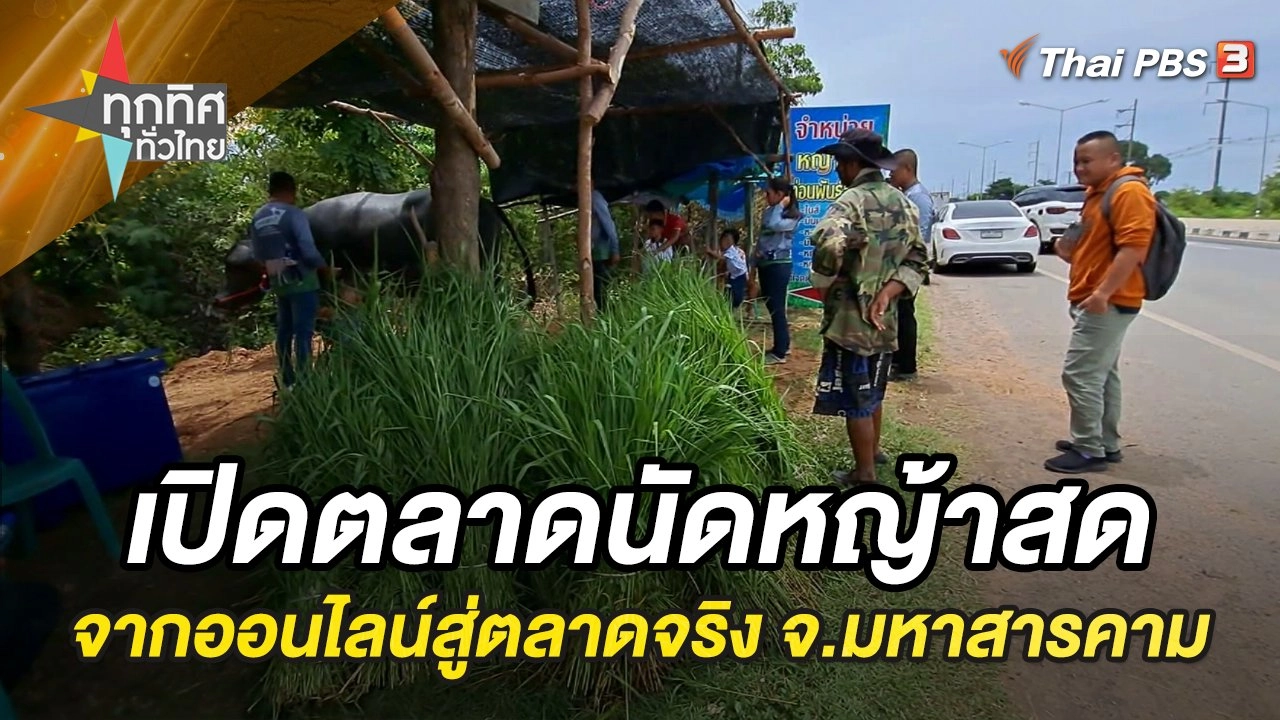 เปิดตลาดนัดหญ้าสด จากออนไลน์สู่ตลาดจริง จ.มหาสารคาม