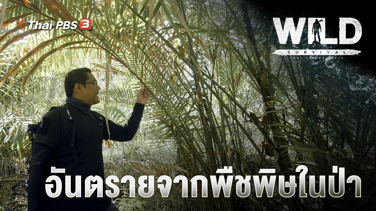 อันตรายจากพืชพิษในป่า