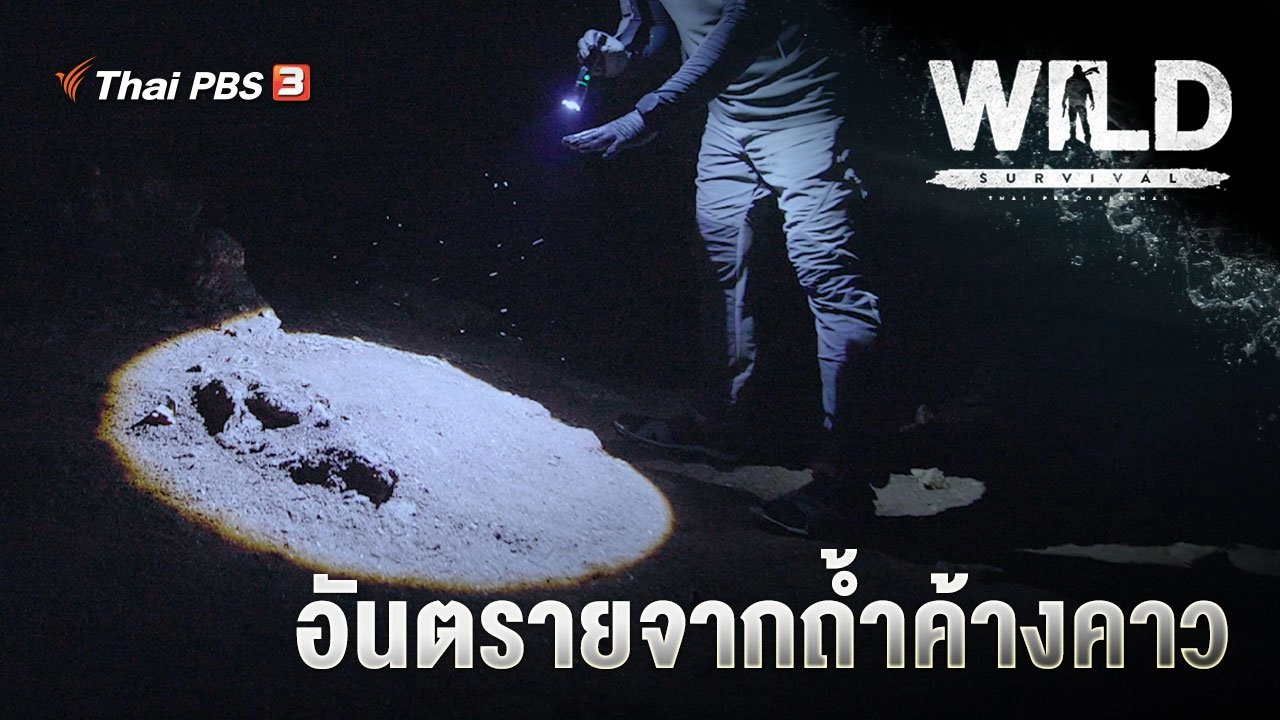 อันตรายจากถ้ำค้างคาว