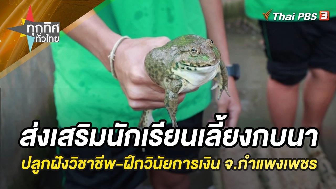 ส่งเสริมนักเรียนเลี้ยงกบนา ปลูกฝังวิชาชีพ-ฝึกวินัยการเงิน จ.กำแพงเพชร