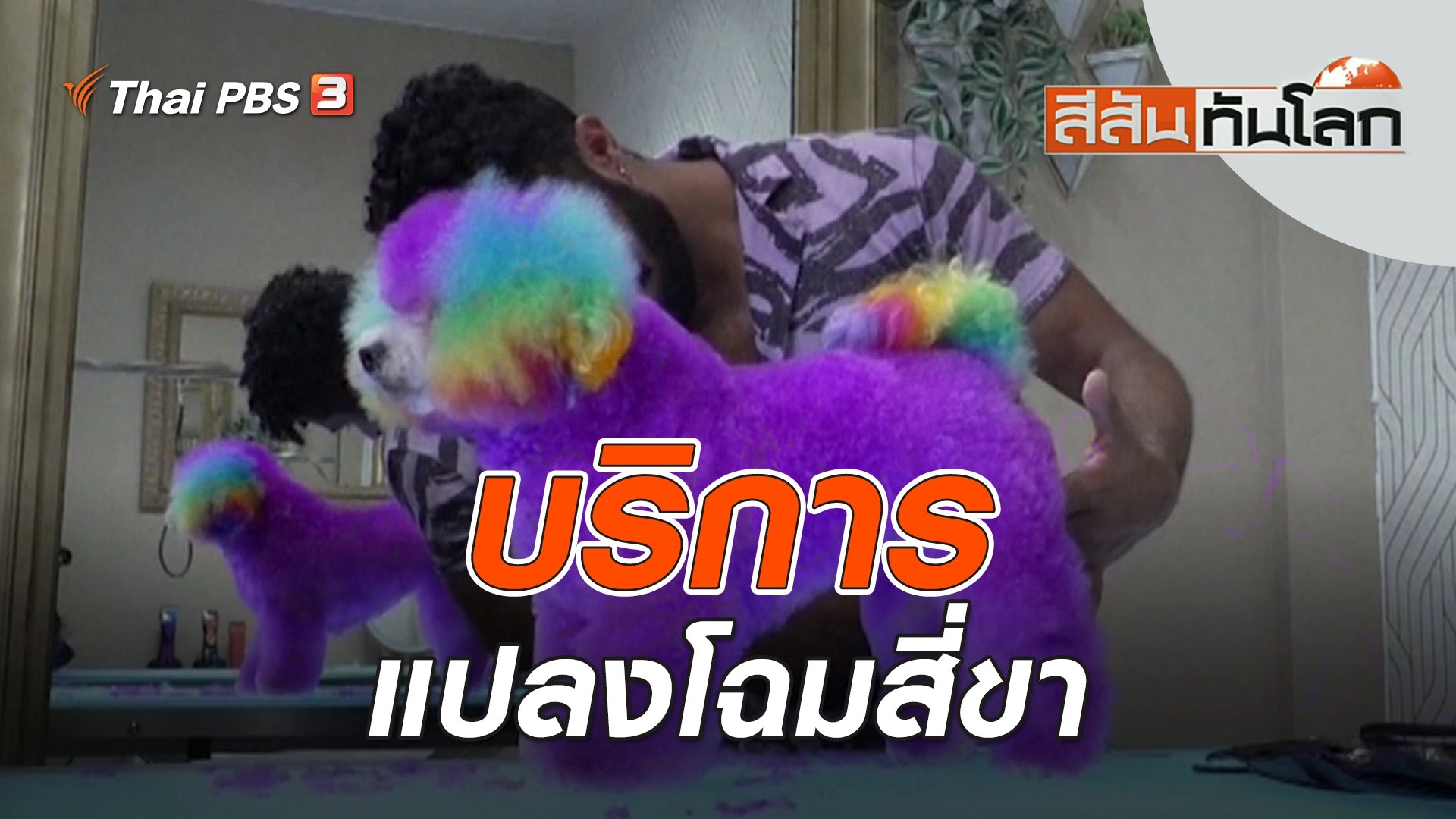 บริการแปลงโฉมสี่ขา | สีสันทันโลก | 16 ก.ย. 66