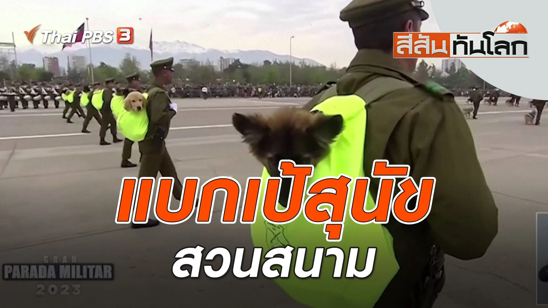 แบกเป้สุนัขสวนสนาม | สีสันทันโลก | 23 ก.ย. 66