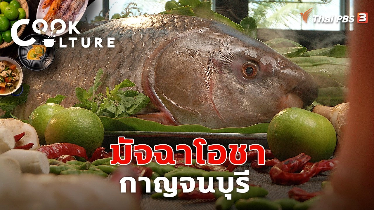 มัจฉาโอชา กาญจนบุรี