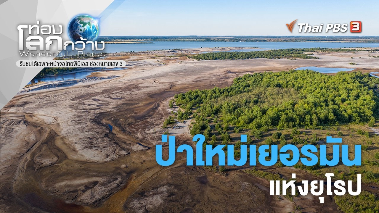 ป่าใหม่เยอรมันแห่งยุโรป