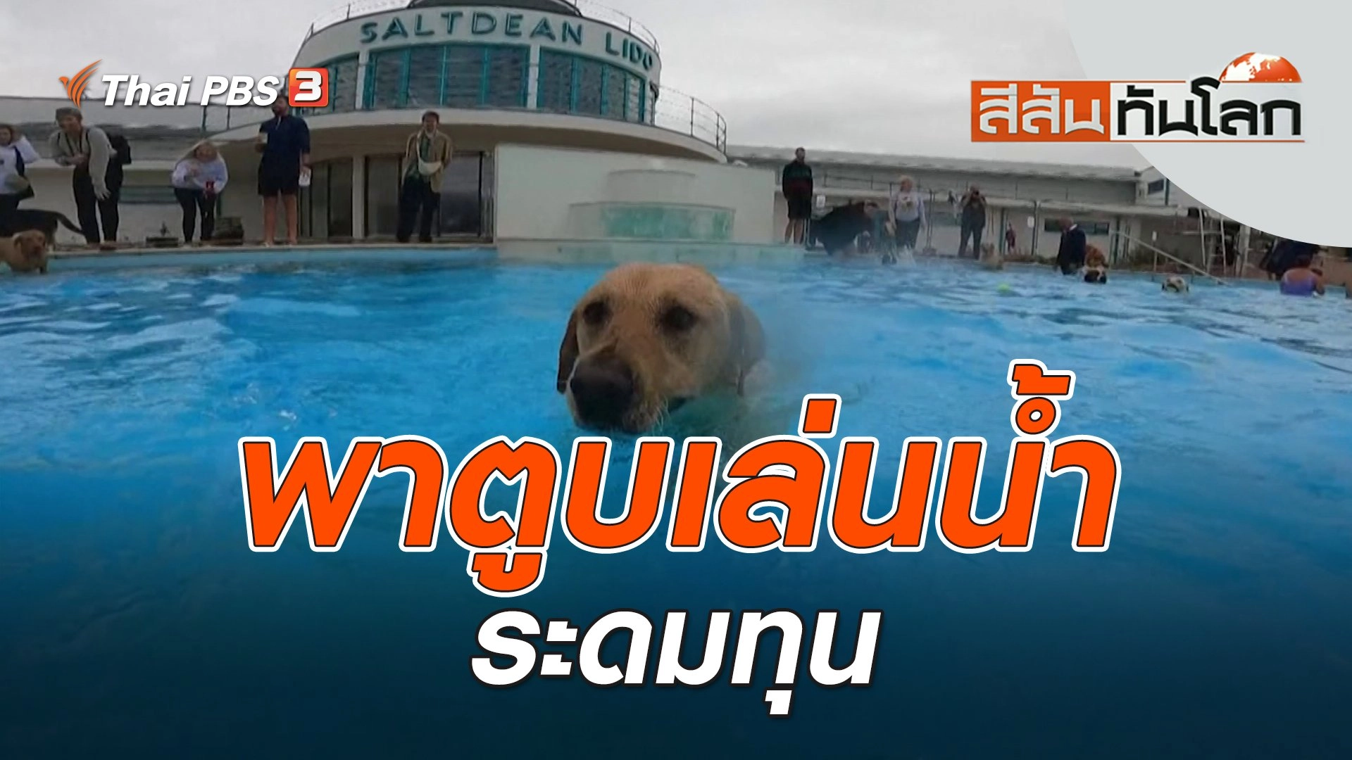 พาตูบเล่นน้ำระดมทุน | สีสันทันโลก | 1 ต.ค. 66