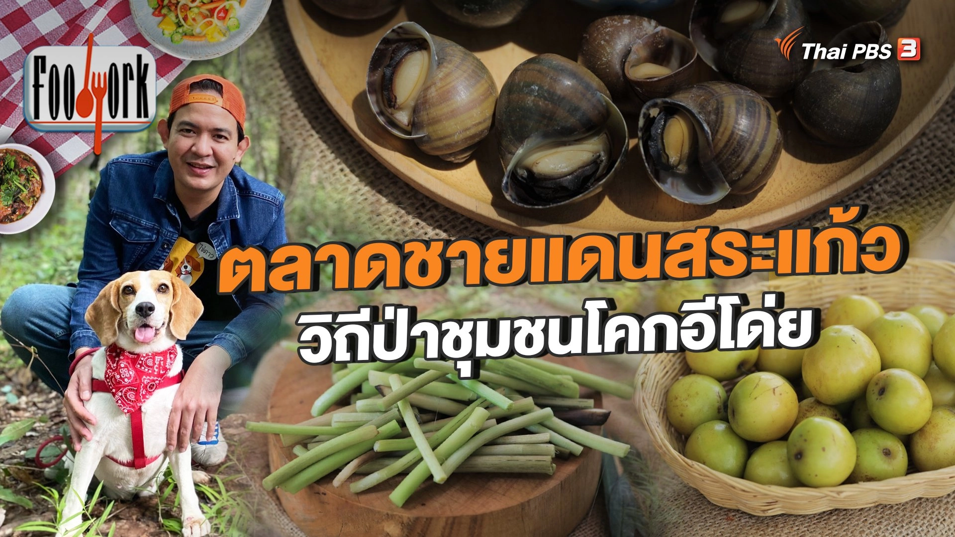 ตลาดชายแดนสระแก้ว วิถีป่าชุมชนโคกอีโด่ย