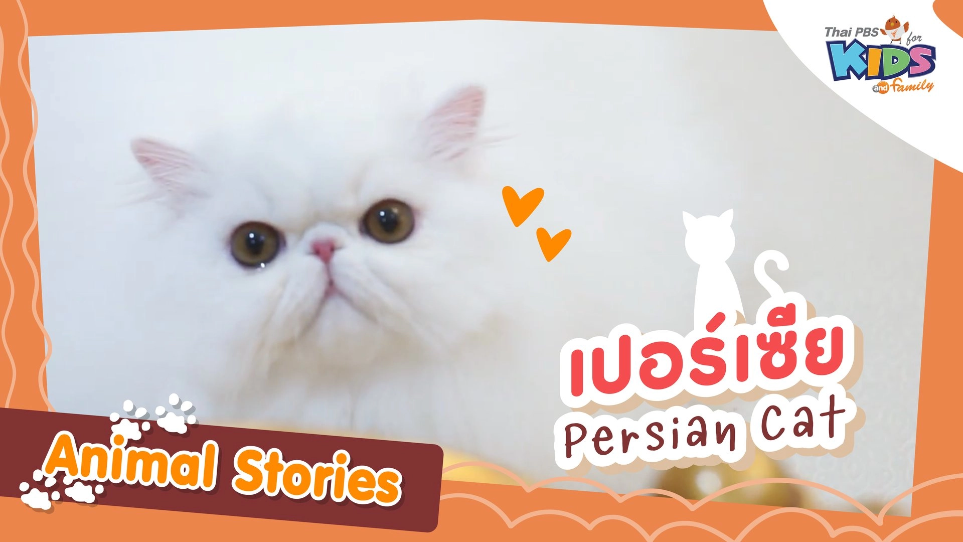 Animal Stories