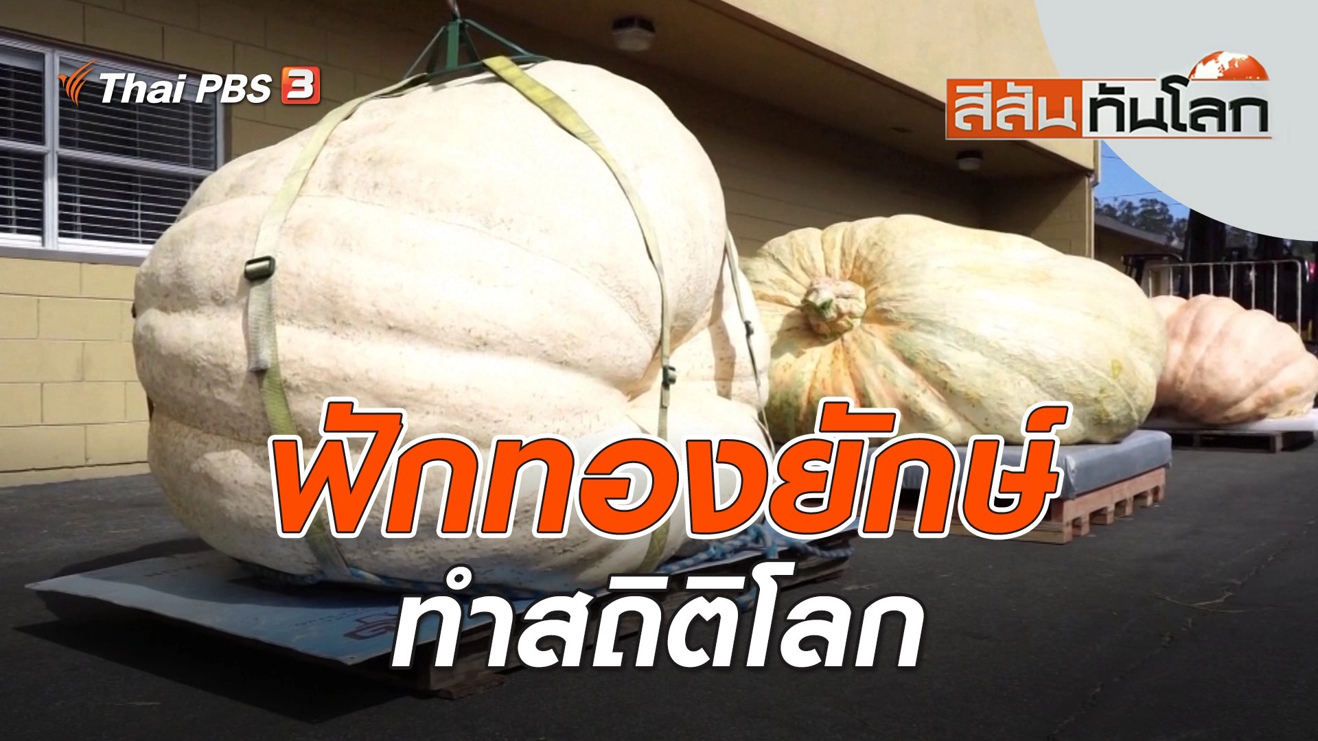 สีสันทันโลก