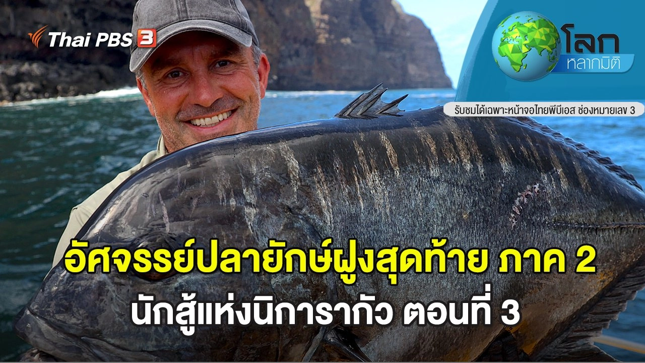 ​อัศจรรย์ปลายักษ์ฝูงสุดท้าย ภาค 2 ตอน นักสู้แห่งนิการากัว ตอนที่ 3