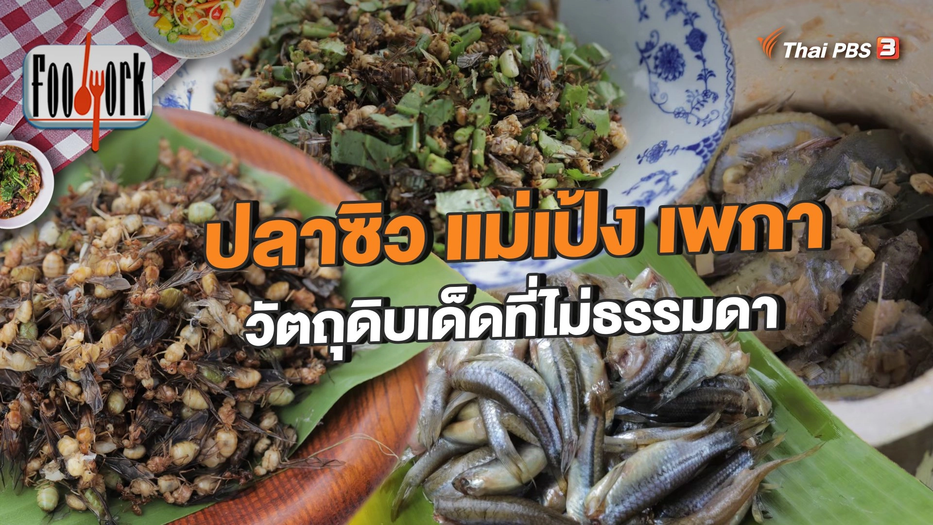 ปลาซิว แม่เป้ง เพกา วัตถุดิบเด็ดที่ไม่ธรรมดา