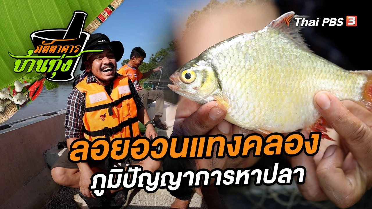 ลอยอวนแทงคลอง