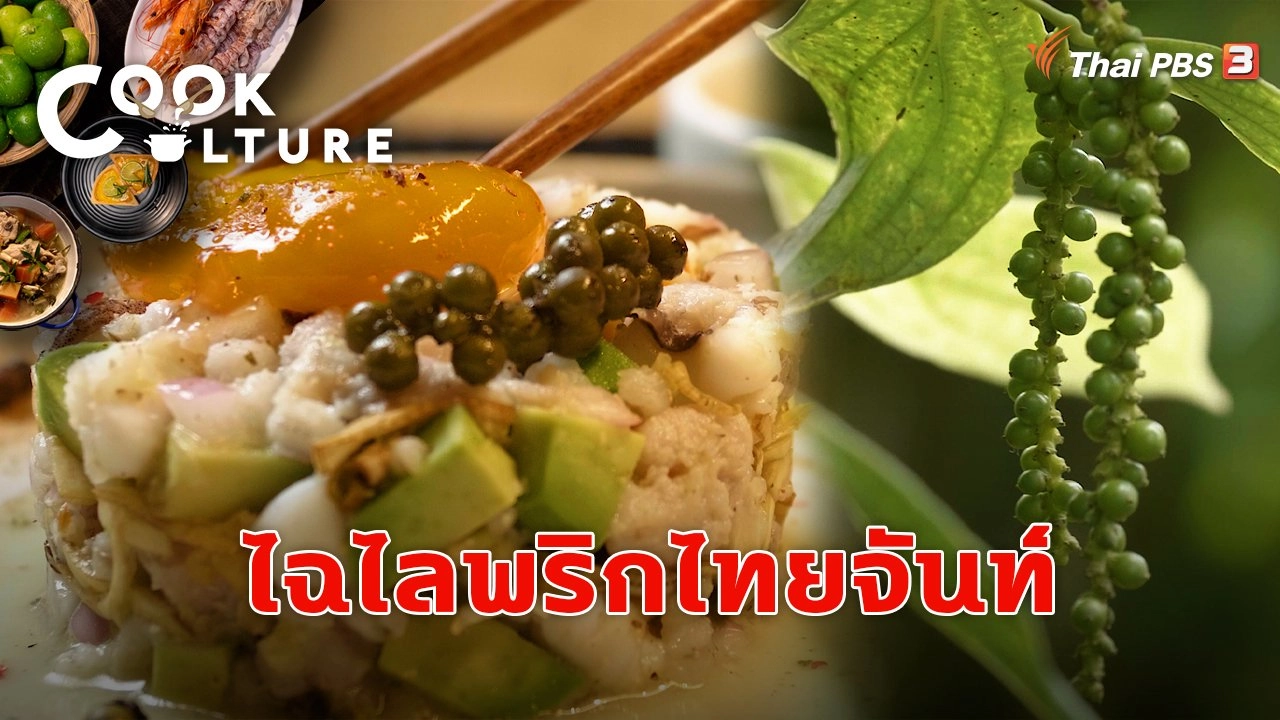 ไฉไลพริกไทยจันท์