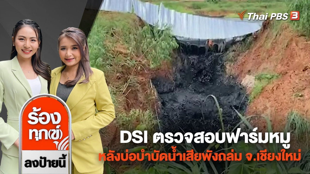 DSI ตรวจสอบฟาร์มหมู หลังบ่อบำบัดน้ำเสียพังถล่ม จ.เชียงใหม่