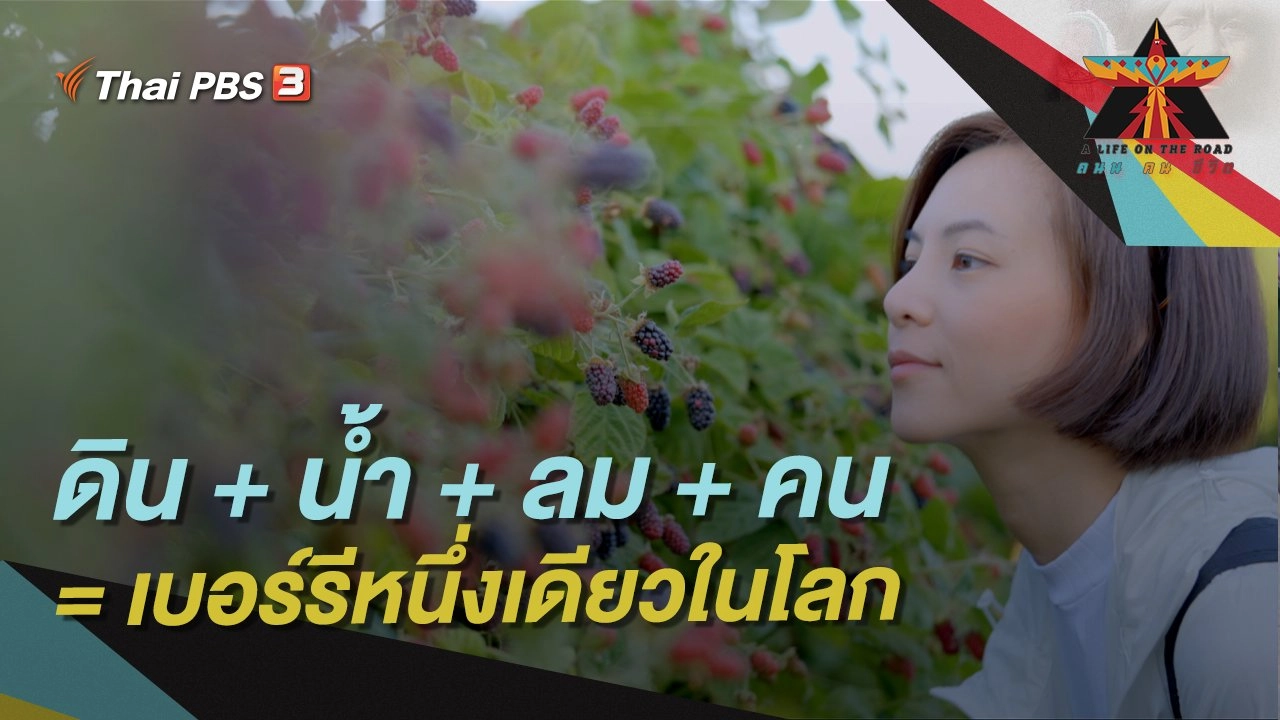 ดิน + น้ำ + ลม + คน = เบอร์รีหนึ่งเดียวในโลก
