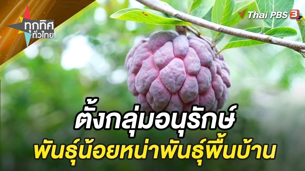 ตั้งกลุ่มอนุรักษ์พันธุ์น้อยหน่าพันธุ์พื้นบ้าน