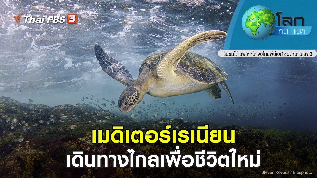 เมดิเตอร์เรเนียน ตอน เดินทางไกลเพื่อชีวิตใหม่