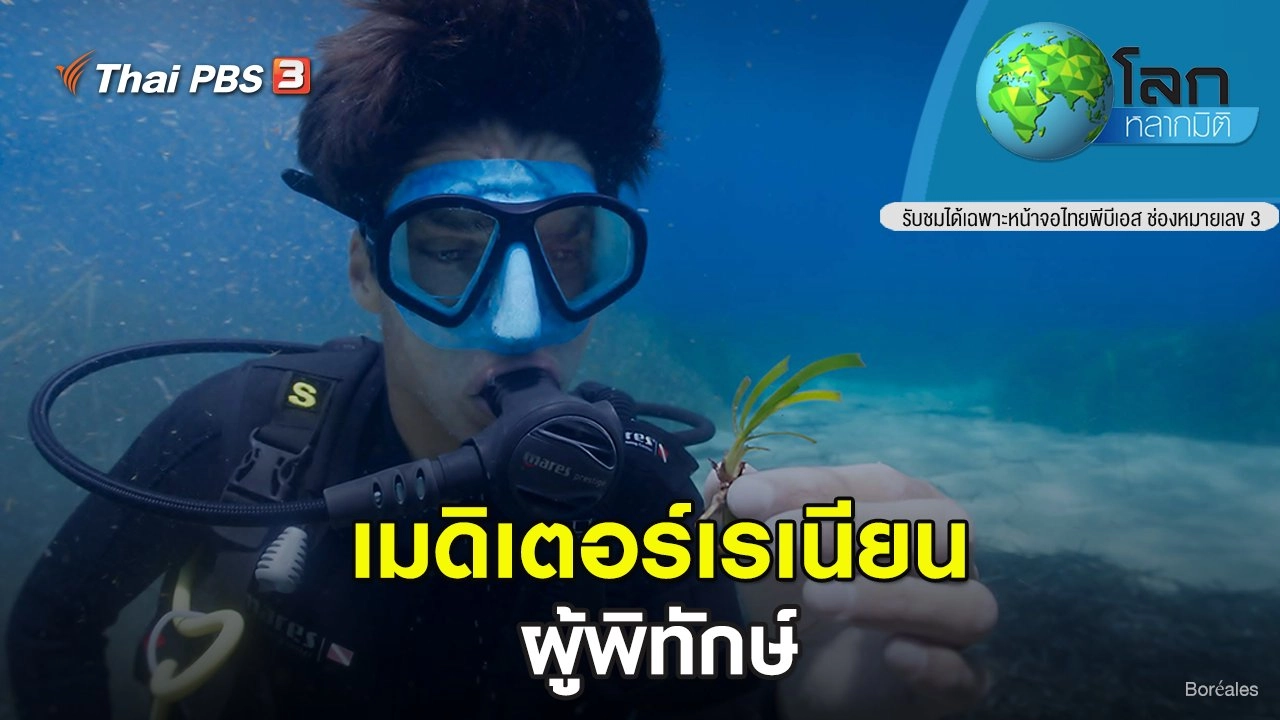 เมดิเตอร์เรเนียน ตอน ผู้พิทักษ์