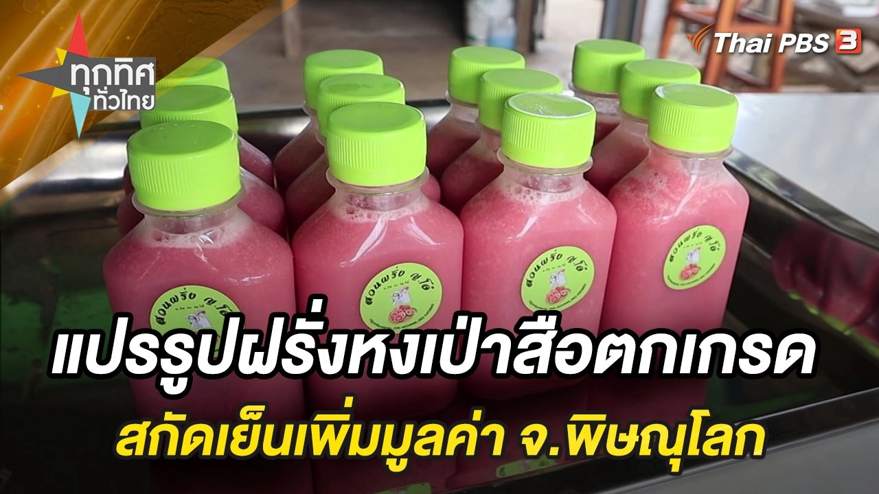 แปรรูปฝรั่งหงเป่าสือตกเกรด สกัดเย็นเพิ่มมูลค่า จ.พิษณุโลก