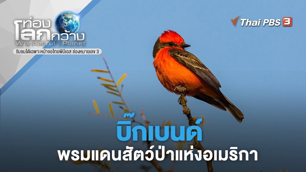 บิ๊กเบนด์ พรมแดนสัตว์ป่าแห่งอเมริกา