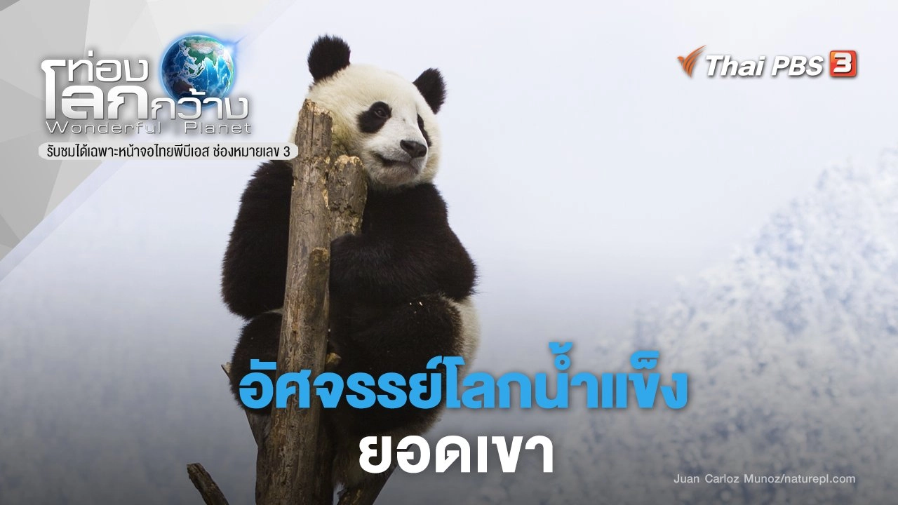 อัศจรรย์โลกน้ำแข็ง ภาค 2 ตอน ยอดเขา