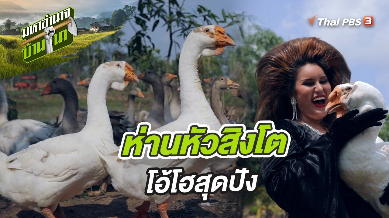 ห่านหัวสิงโต โอ้โฮสุดปัง