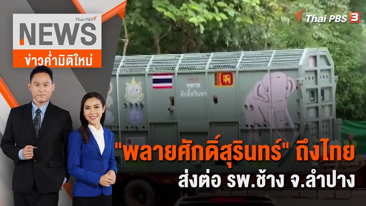 "พลายศักดิ์สุรินทร์" ถึงไทย ส่งต่อ รพ.ช้าง จ.ลำปาง | 2 ก.ค. 66