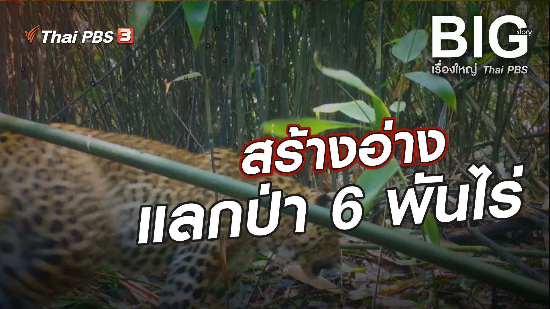 Big Story เรื่องใหญ่ Thai PBS