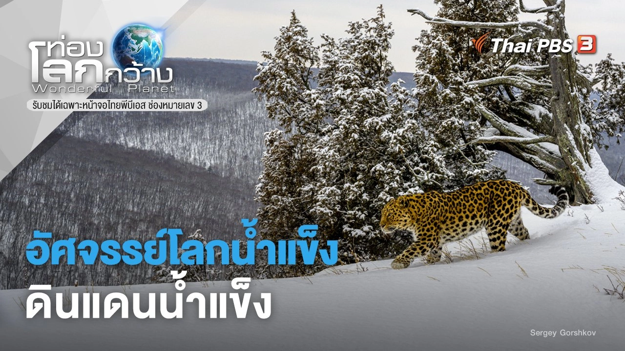 อัศจรรย์โลกน้ำแข็ง ภาค 2 ตอน ดินแดนน้ำแข็ง