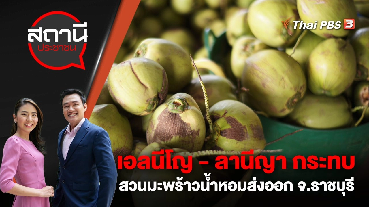 เอลนีโญ - ลานีญา กระทบสวนมะพร้าวน้ำหอมส่งออก จ.ราชบุรี