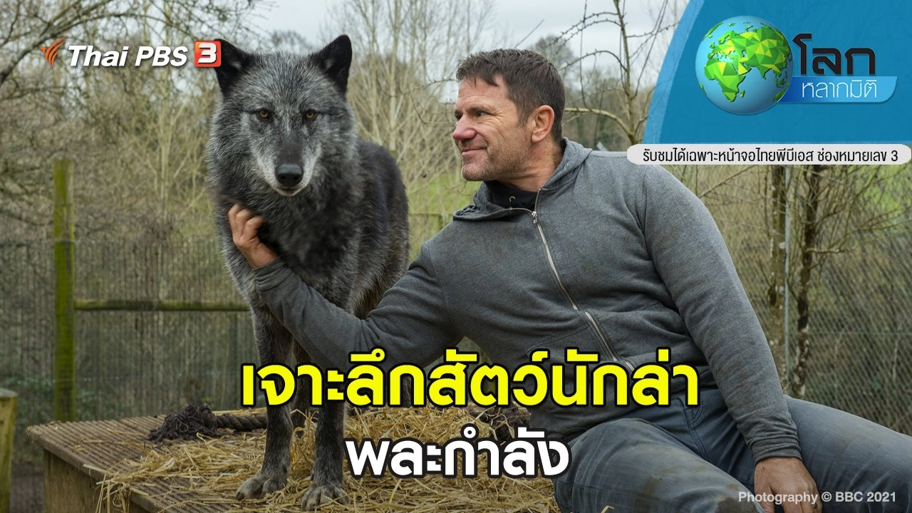 เจาะลึกสัตว์นักล่า ตอน พละกำลัง