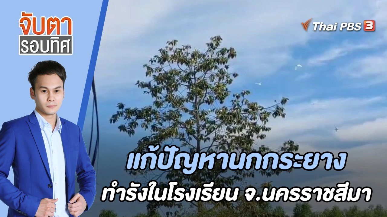 แก้ปัญหานกกระยางทำรังใน รร. จ.นครราชสีมา | 7 ก.ค. 66