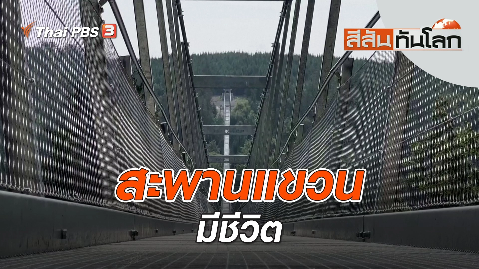 สะพานแขวนมีชีวิต | สีสันทันโลก | 9 ก.ค. 66