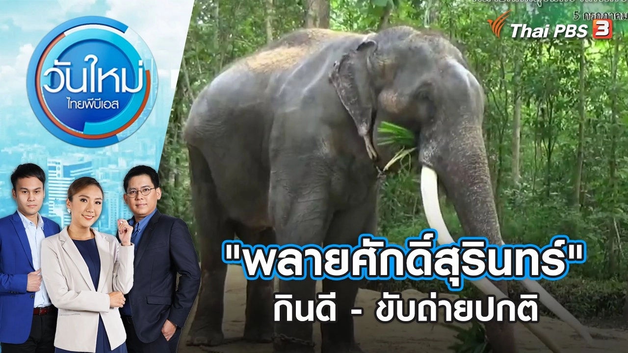 "พลายศักดิ์สุรินทร์" กินดี - ขับถ่ายปกติ | วันใหม่ ไทยพีบีเอส | 6 ก.ค. 66