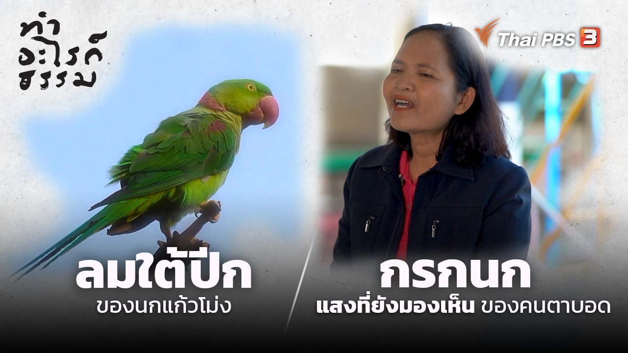 “ลมใต้ปีก” ของนกแก้วโม่ง และ “กรกนก” แสงที่ยังมองเห็นของคนตาบอด