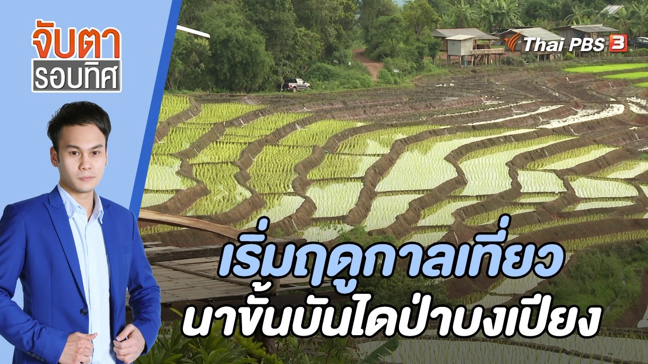 เริ่มฤดูกาลเที่ยวนาขั้นบันไดป่าบงเปียง | 24 ก.ค. 66