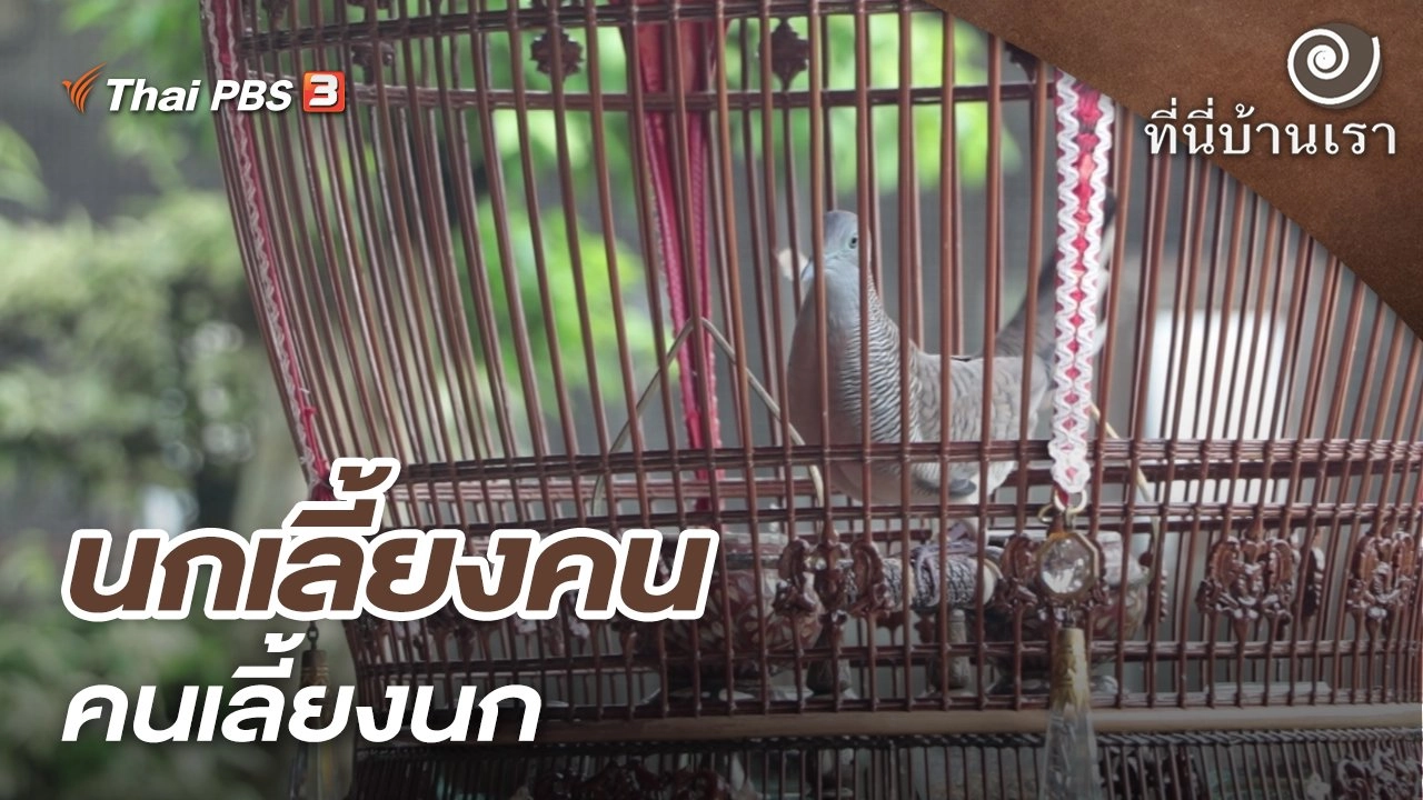นกเลี้ยงคน คนเลี้ยงนก