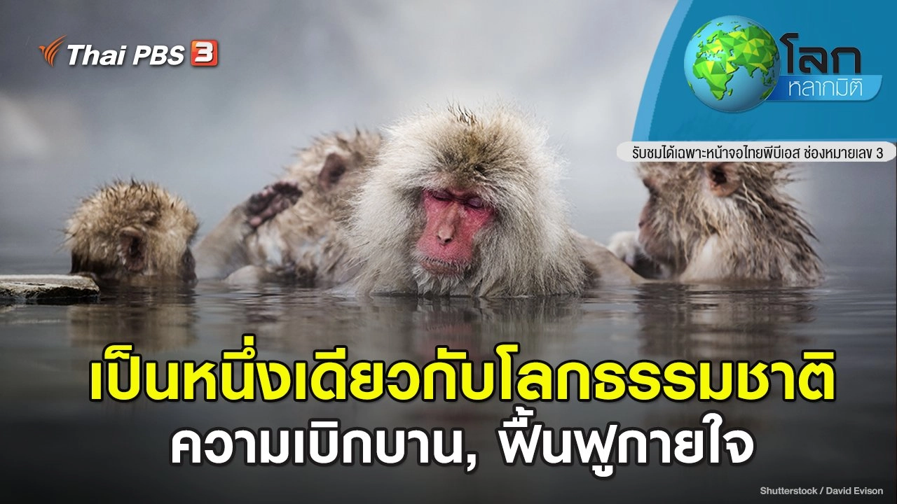 เป็นหนึ่งเดียวกับโลกธรรมชาติ ตอน ความเบิกบาน, ฟื้นฟูกายใจ