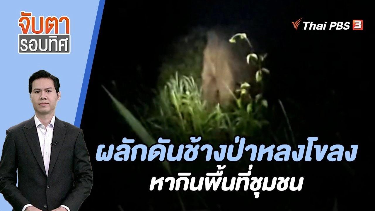 ผลักดันช้างป่าหลงโขลงหากินพื้นที่ชุมชน | 7 ส.ค. 66