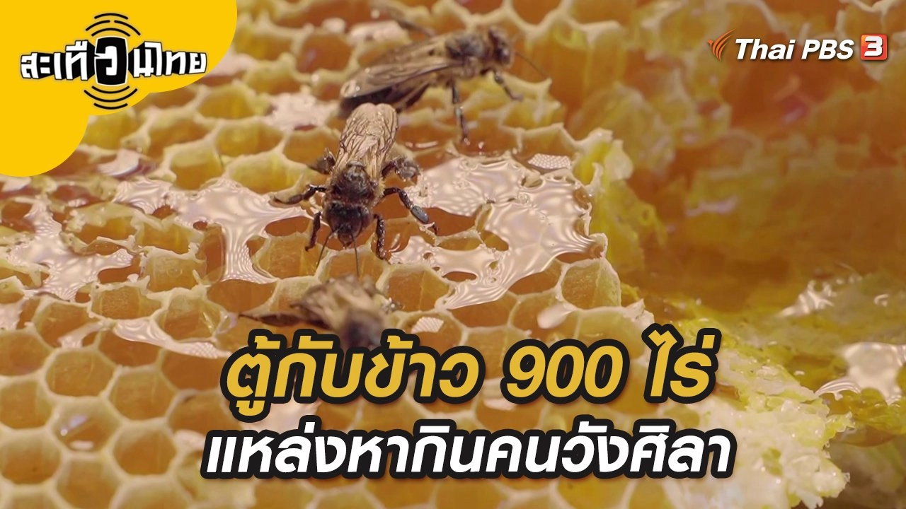 ตู้กับข้าว 900 ไร่ แหล่งหากินคนวังศิลา