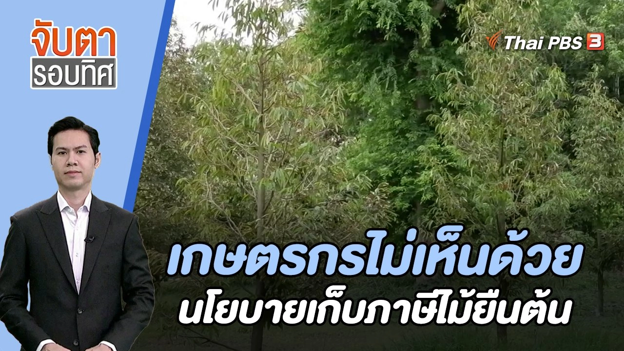 เกษตรกรไม่เห็นด้วยนโยบายเก็บภาษีไม้ยืนต้น | จับตารอบทิศ | 21 พ.ย. 66