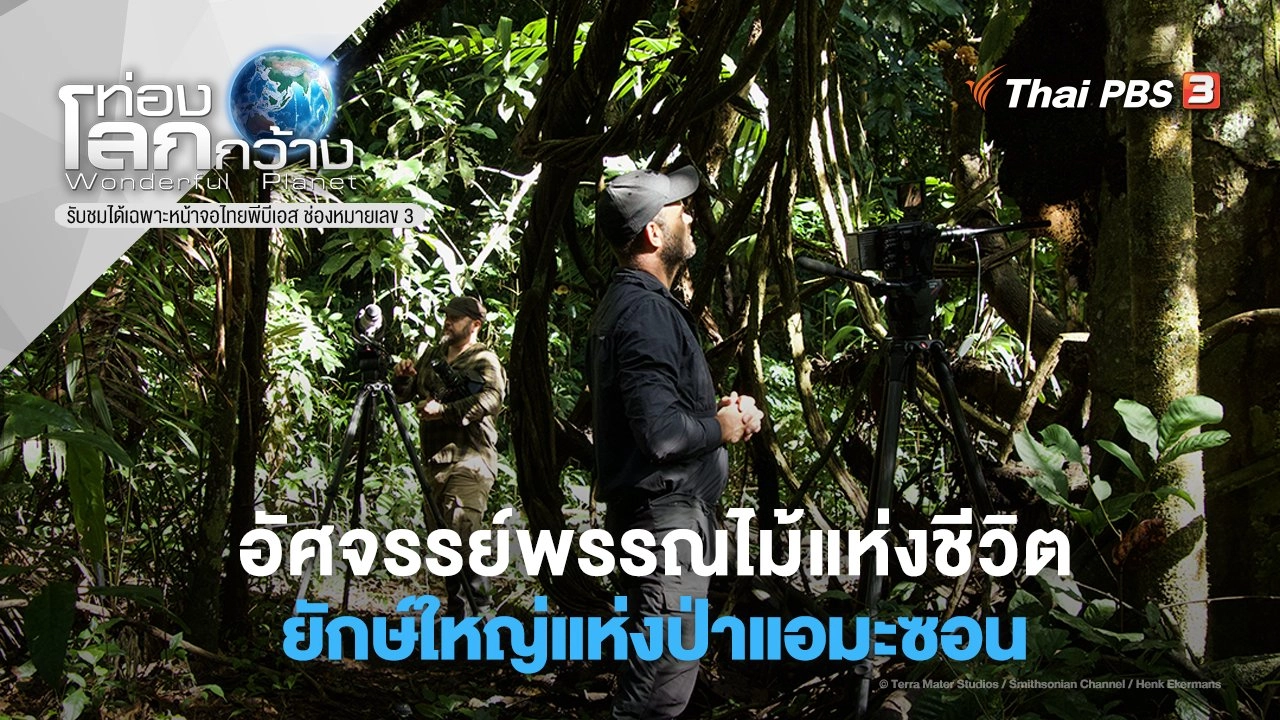 อัศจรรย์พรรณไม้แห่งชีวิต ตอน ยักษ์ใหญ่แห่งป่าแอมะซอน