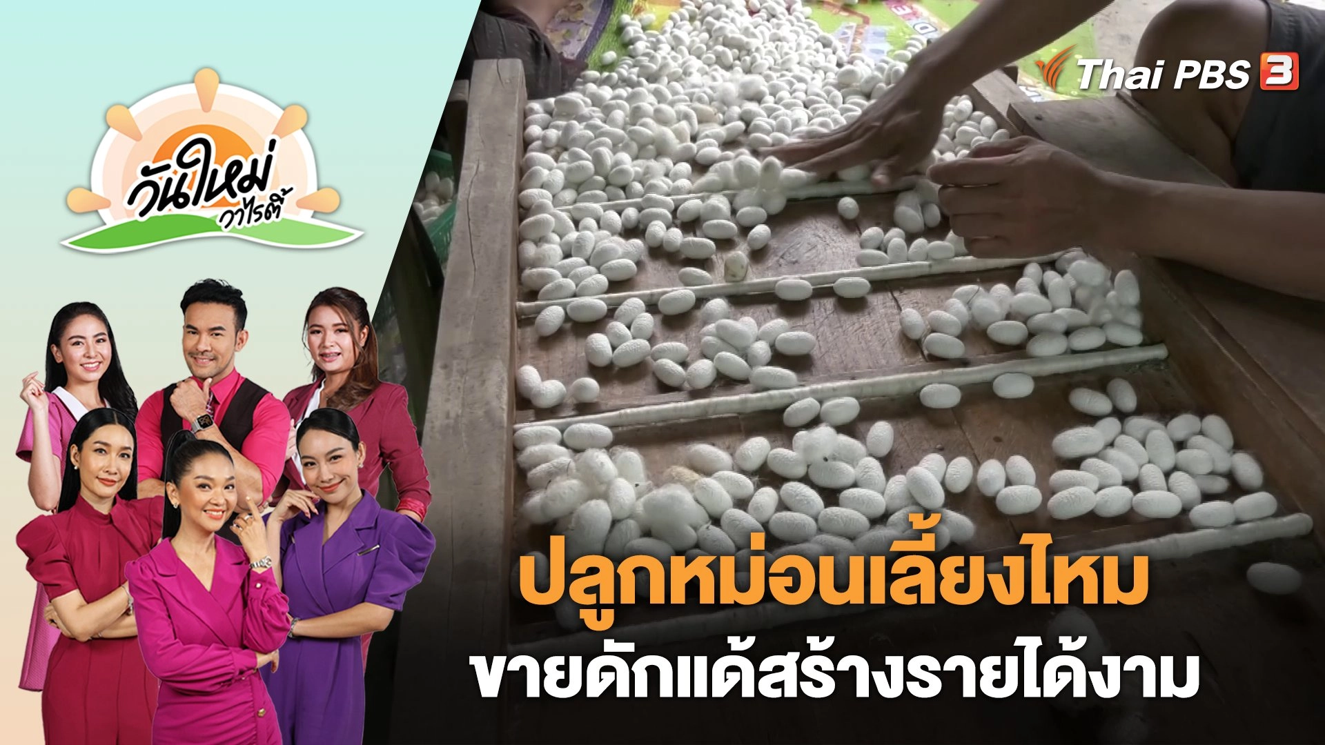 ปลูกหม่อนเลี้ยงไหมขายดักแด้สร้างรายได้งาม จ.นครราชสีมา | วันใหม่วาไรตี้ | 8 พ.ย. 66