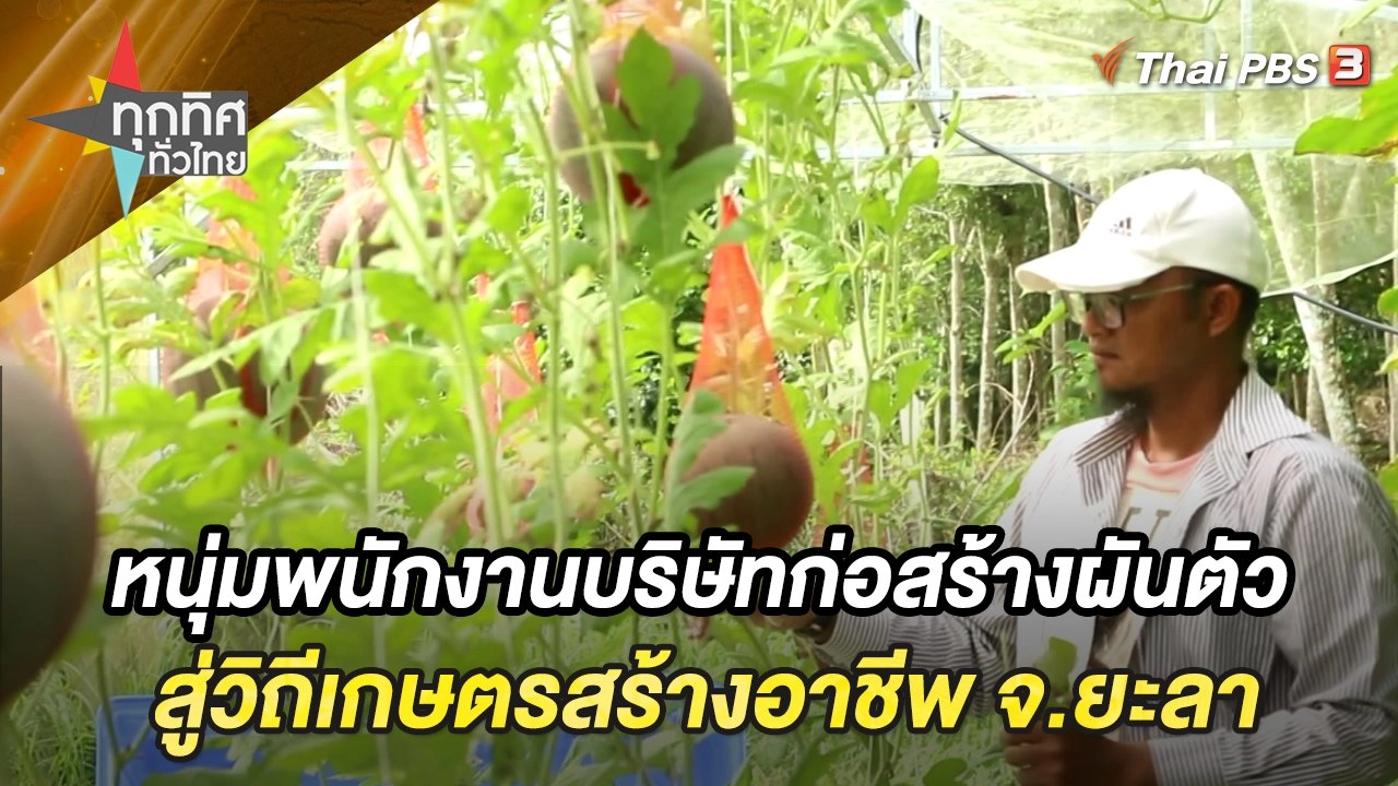 หนุ่มพนักงานบริษัทก่อสร้างผันตัวสู่วิถีเกษตรสร้างอาชีพ จ.ยะลา