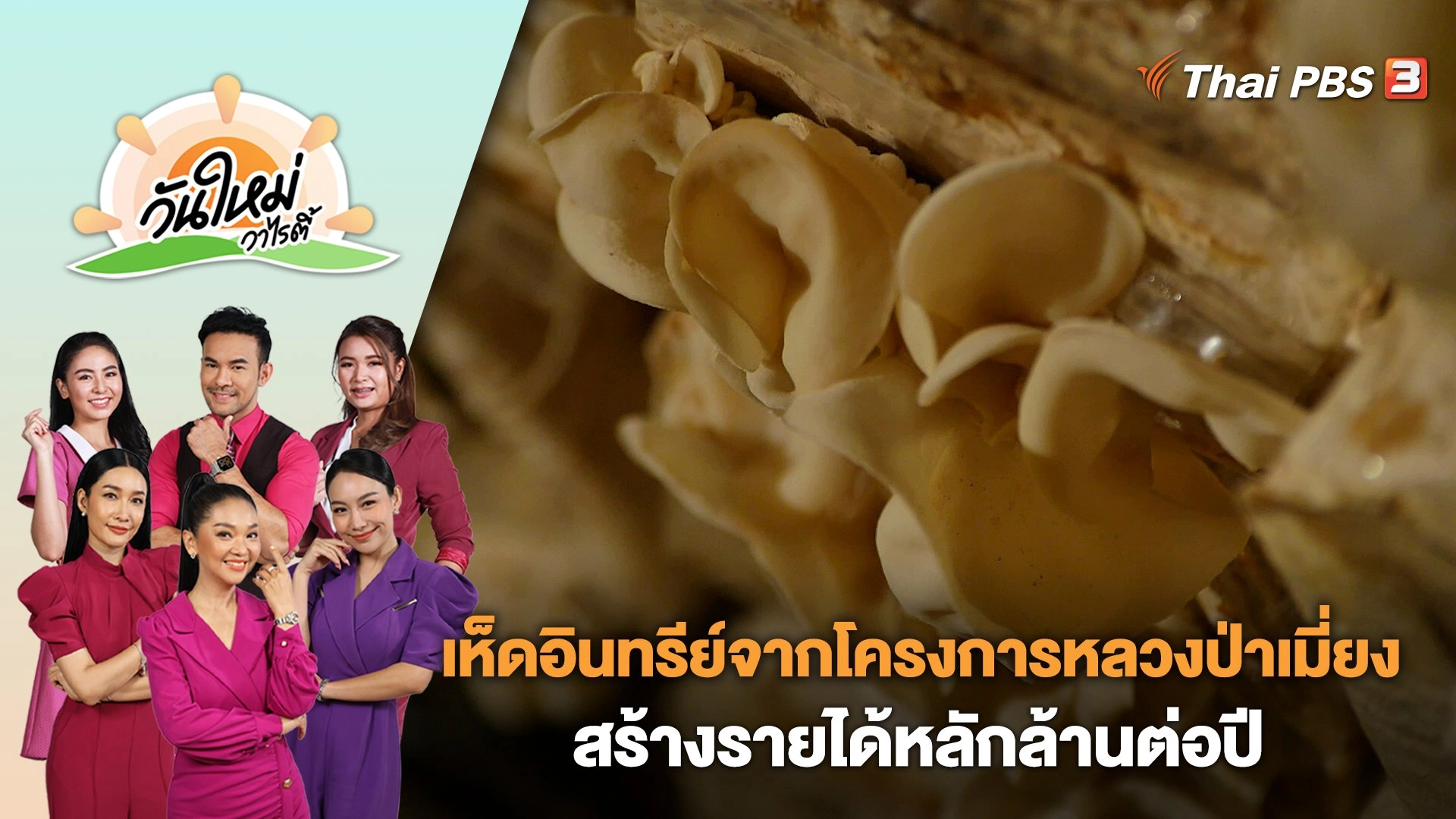เห็ดอินทรีย์จากโครงการหลวงป่าเมี่ยง สร้างรายได้หลักล้านต่อปี | วันใหม่วาไรตี้ | 14 พ.ย. 66