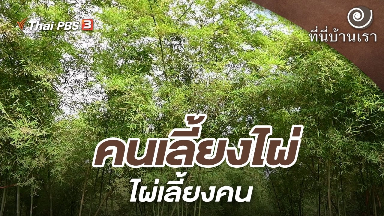 คนเลี้ยงไผ่ ไผ่เลี้ยงคน