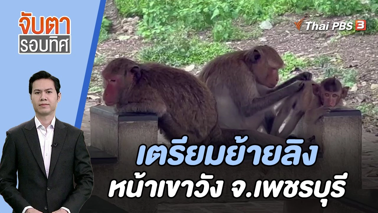 เตรียมย้ายลิงหน้าเขาวัง จ.เพชรบุรี | จับตารอบทิศ | 15 พ.ย. 66