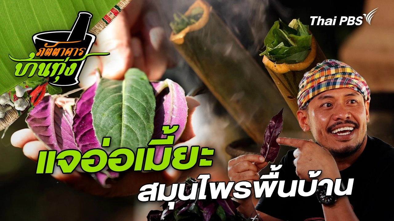 แจอ่อเมี้ยะ