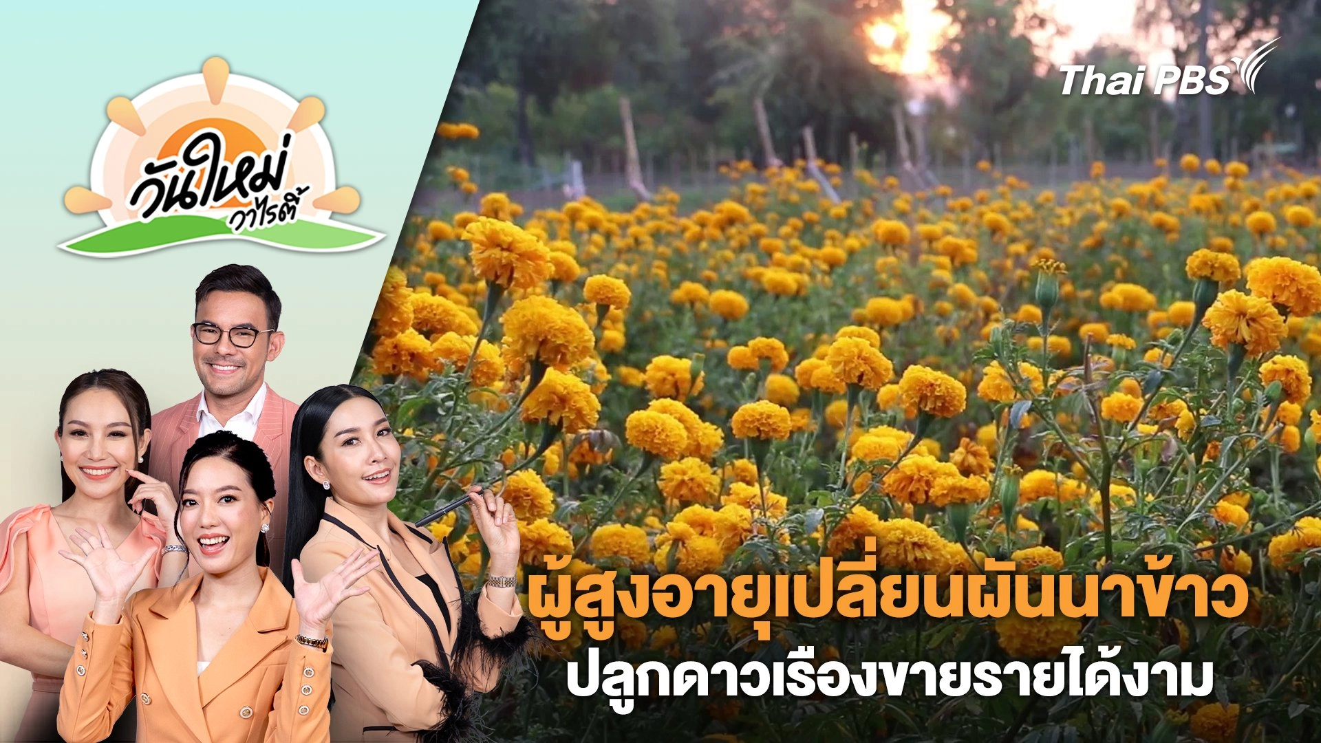 ผู้สูงอายุเปลี่ยนผันนาข้าวปลูกดาวเรืองขายรายได้งาม | วันใหม่วาไรตี้ | 31 ม.ค. 67